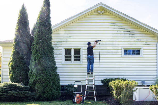 Best Patio and Deck Pressure Washing  in Miami Beach, FL